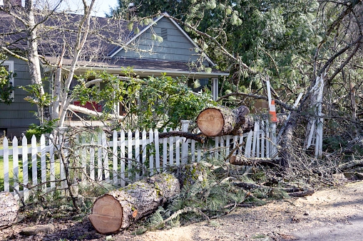 7 Steps To Follow After Storm Damage To Your House