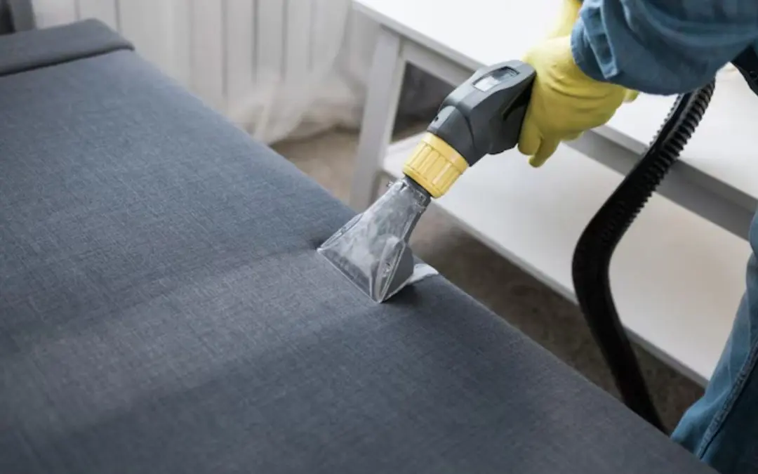 What Are the Best Upholstery Cleaning Services in Tigard, OR?