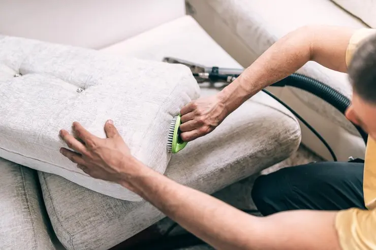 Upholstery Cleaning for Healthier Homes: Insights from Carpet Savers