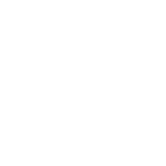 Icon Technicians