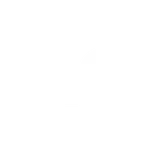 Icon Plant