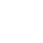 Icon Estimate