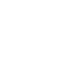Icon Professionals