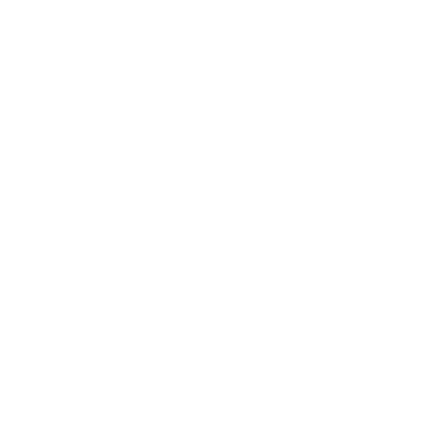 Icon Health Insurance