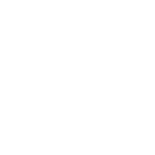 Blower