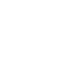 Icon Budget