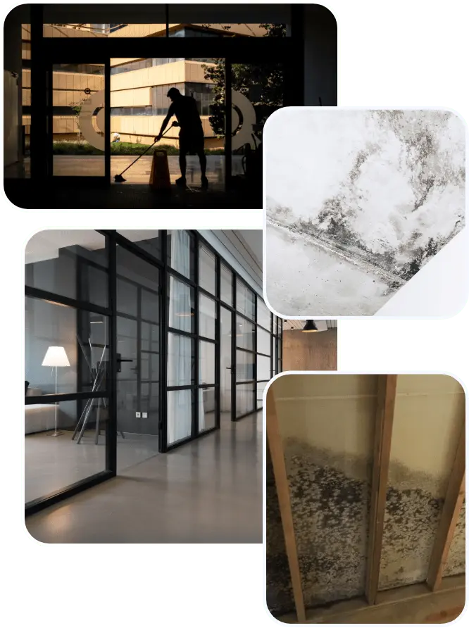Row 2 Image min 1