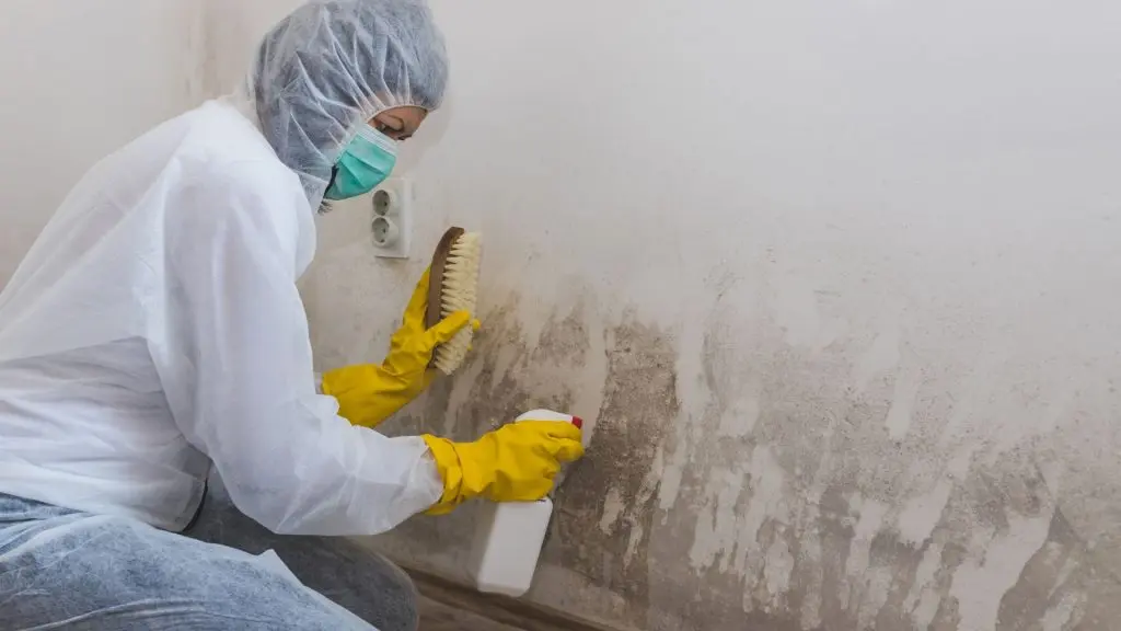 post remediation mold testing hutchinson ks