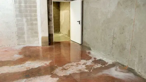 Water Damage Restoration Services