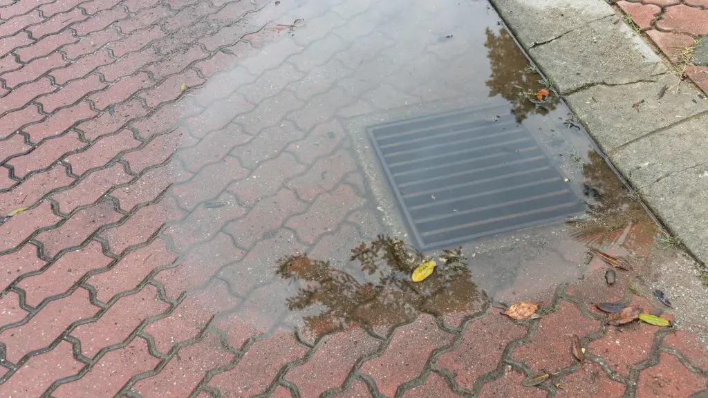 Sewage Backup After Heavy Rain