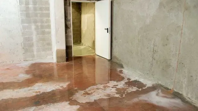 Water Damage Restoration Services