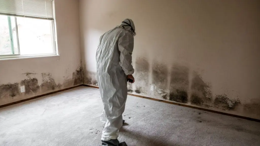 Mold Testing Before You Buy or Sell ()