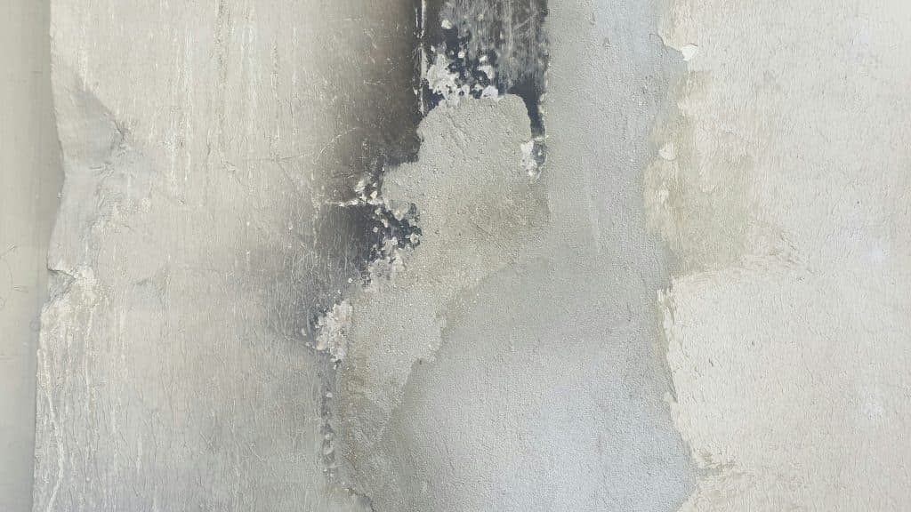 Mold