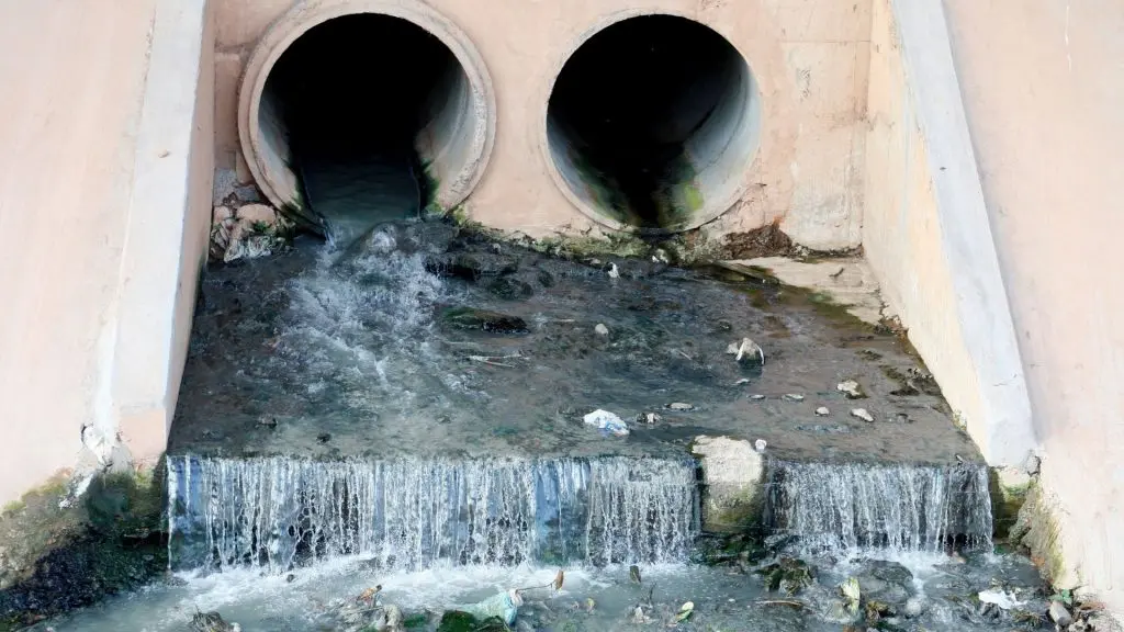 Sewage Cleanup