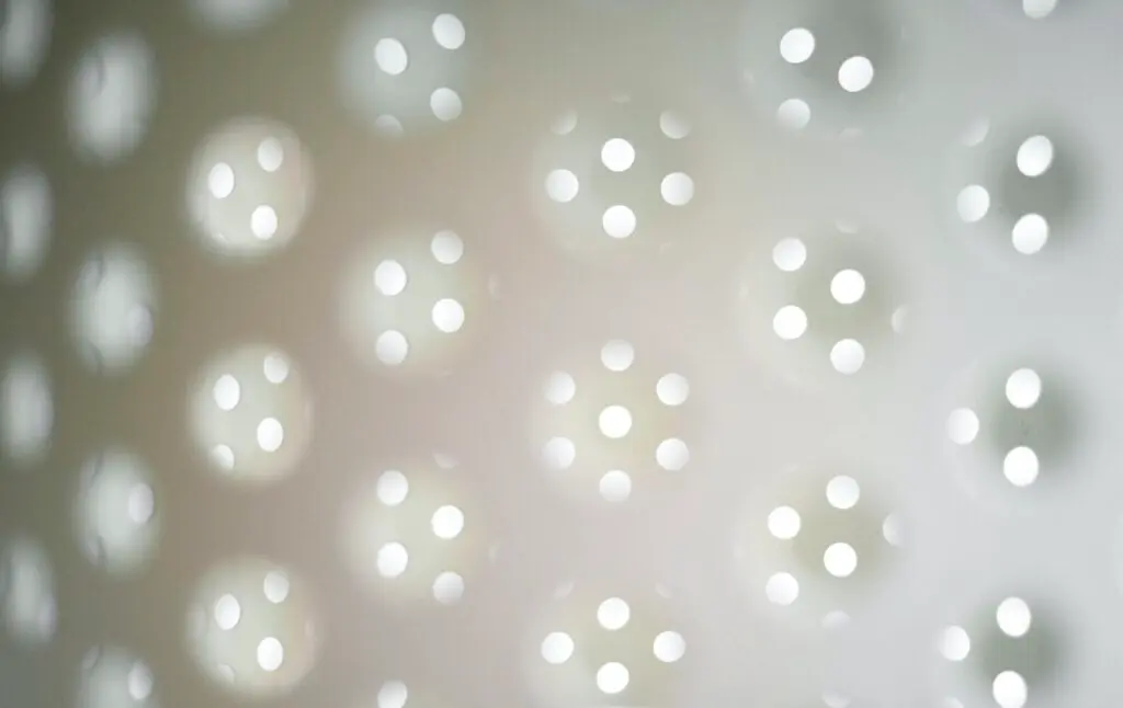 The Hidden Dangers of Mold What to look for when Protecting Your Health and Home