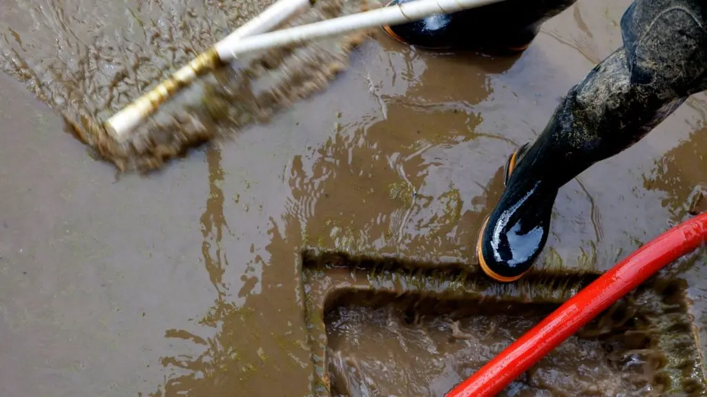 Sewage Backup cleanup