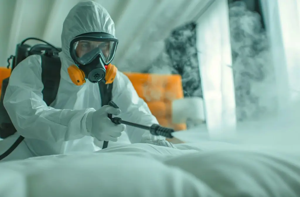 emergency cleaning
