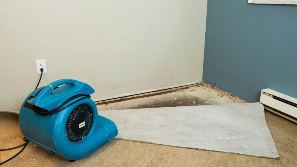 Water Damage Restoration Process