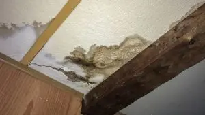 water damage restoration in Seattle (4)