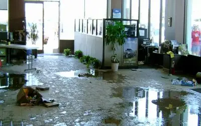 Why Is Professional Water Damage Restoration Important in Ewa Beach?