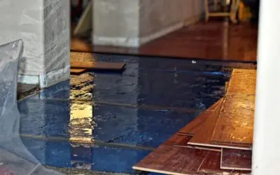 What Is the Process of Water Damage Restoration in Ewa Beach?