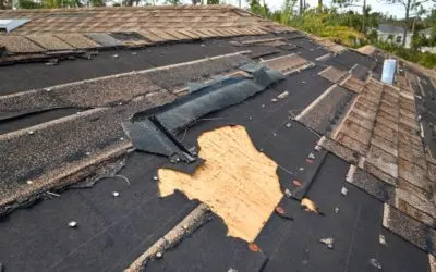 Can Storm Damage Services in Honolulu Help With Insurance Claims?