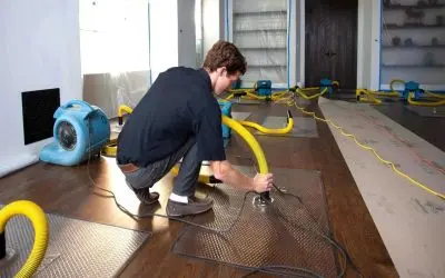 How Do Water Mitigation Services in Honolulu Protect Homes from Future Water Damage?