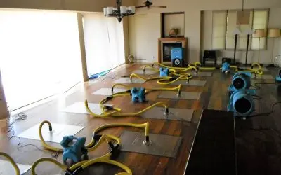 How Does a Water Mitigation Service in Honolulu Prevent Mold After Water Damage?
