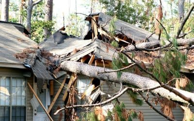 What Types of Storm Damage Repairs Are Most Common in Honolulu?