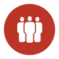 professional teams