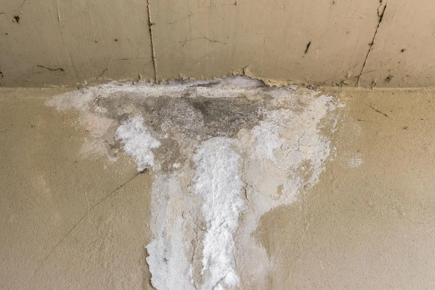 Roof Leaks
