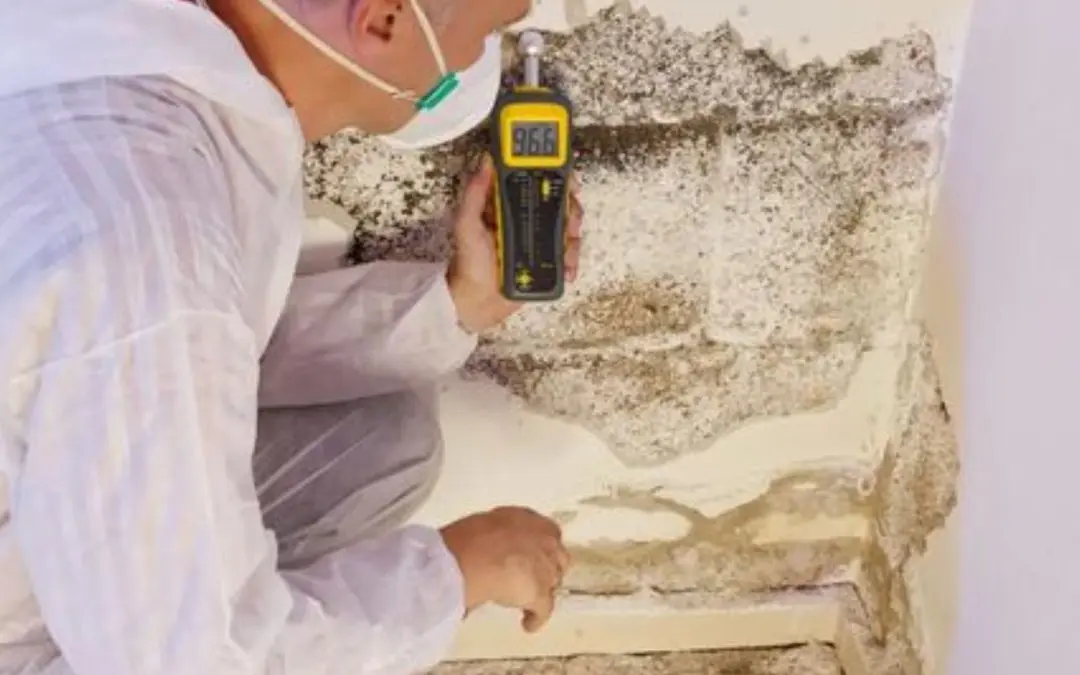 How Can You Prevent Mold After Remediation in Donner Summit, CA?