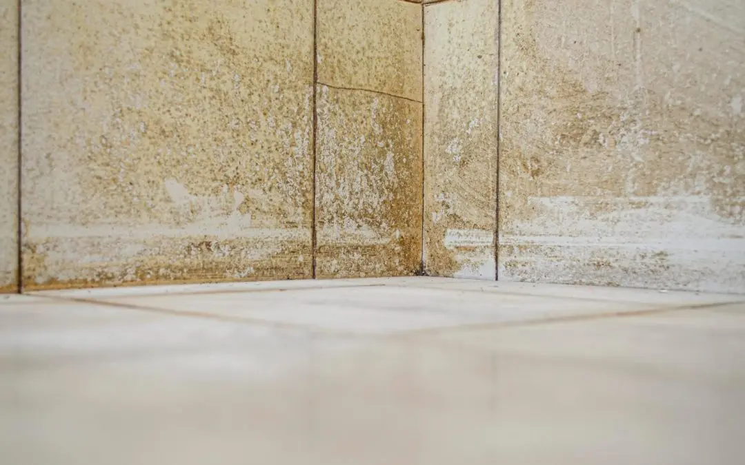 How to Handle Mold in Your Bathroom