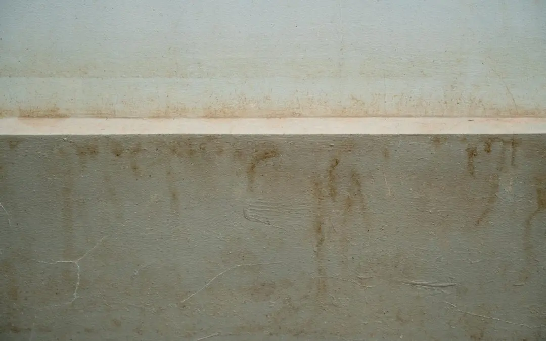 Getting Rid of Basement Mold Problems