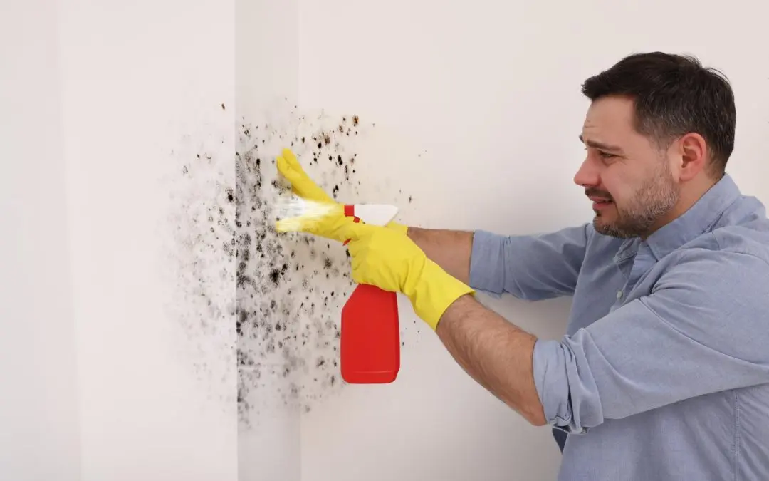 Summer Mold Prevention Strategies