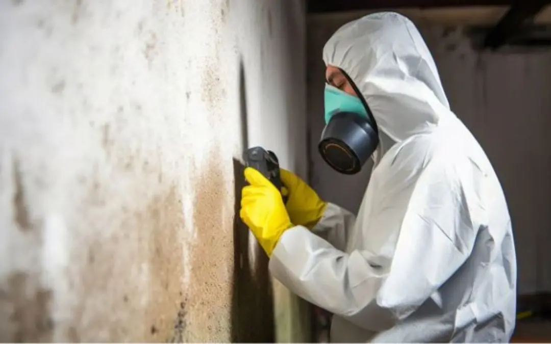 What Is Mold Remediation and Why Is It Important in Donner Summit, CA?