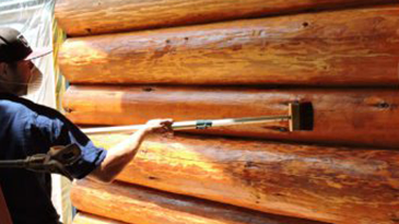 Painting Staining