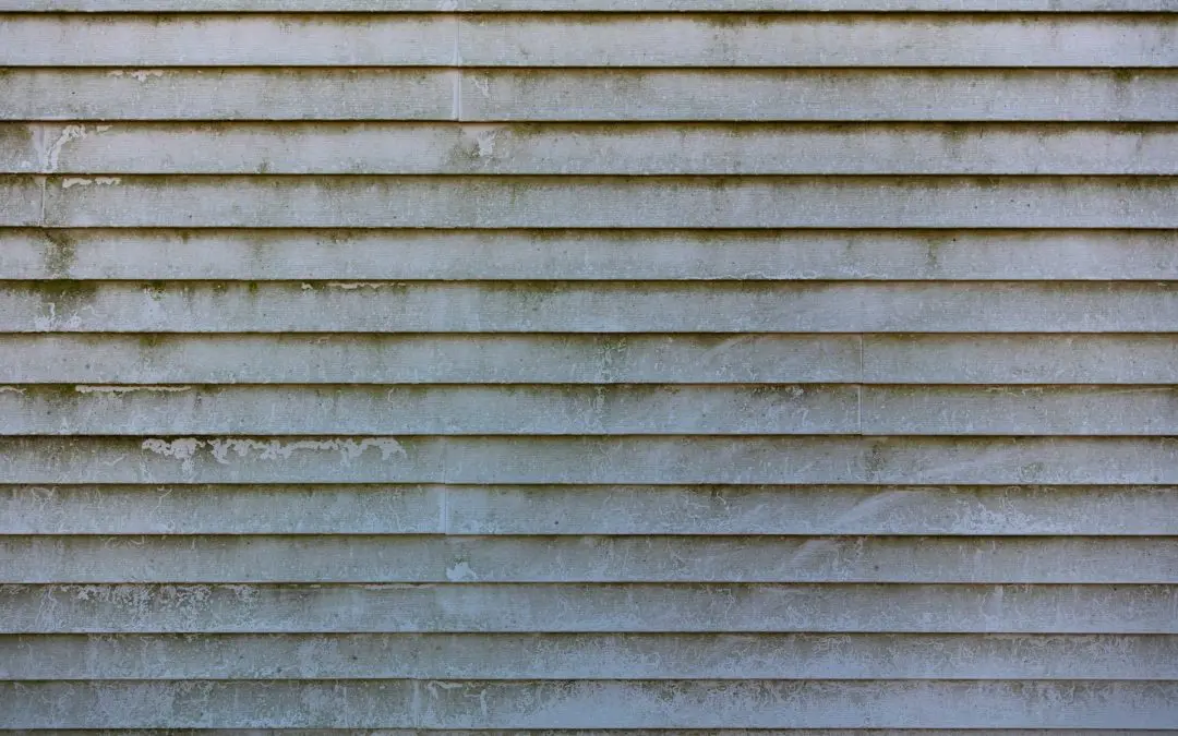 Understanding Mold Remediation and the Steps Involved for Riverside, CA Homeowners