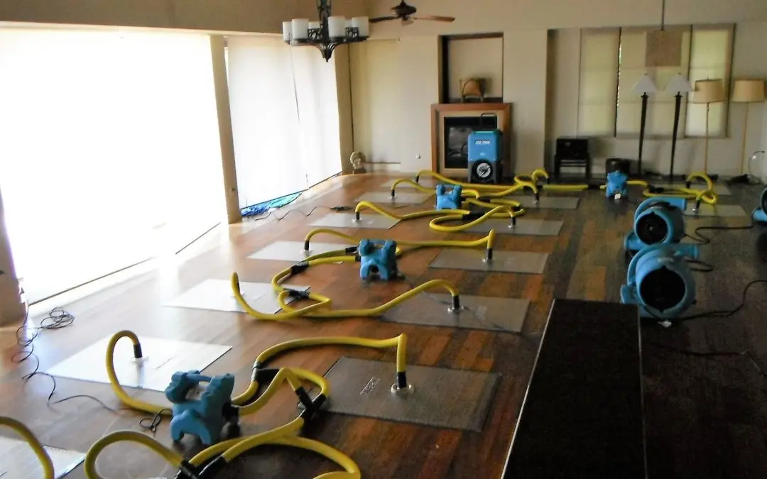 When Should You Call a Professional for Water Damage Restoration in Frisco?