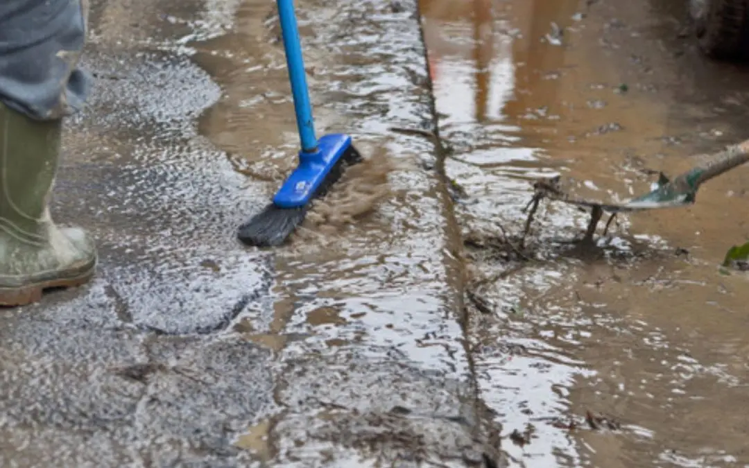 When Should You Call a Water Damage Restoration Company in Plano TX?