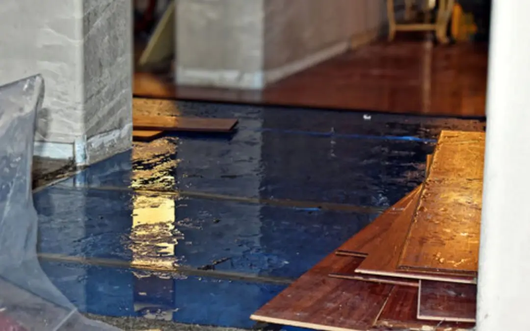 What Are the Most Reliable Water Damage Restoration Services in Plano TX?