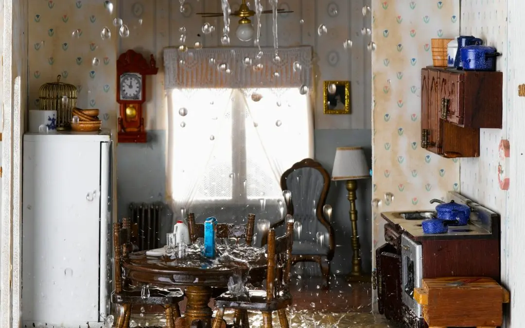 Preventing Mold Growth After Water Damage in Redlands, CA Homes