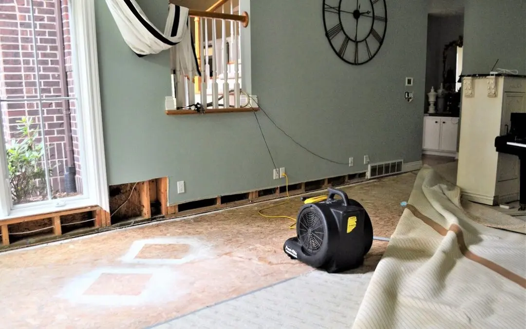 Water Remediation Services: All You Need to Know
