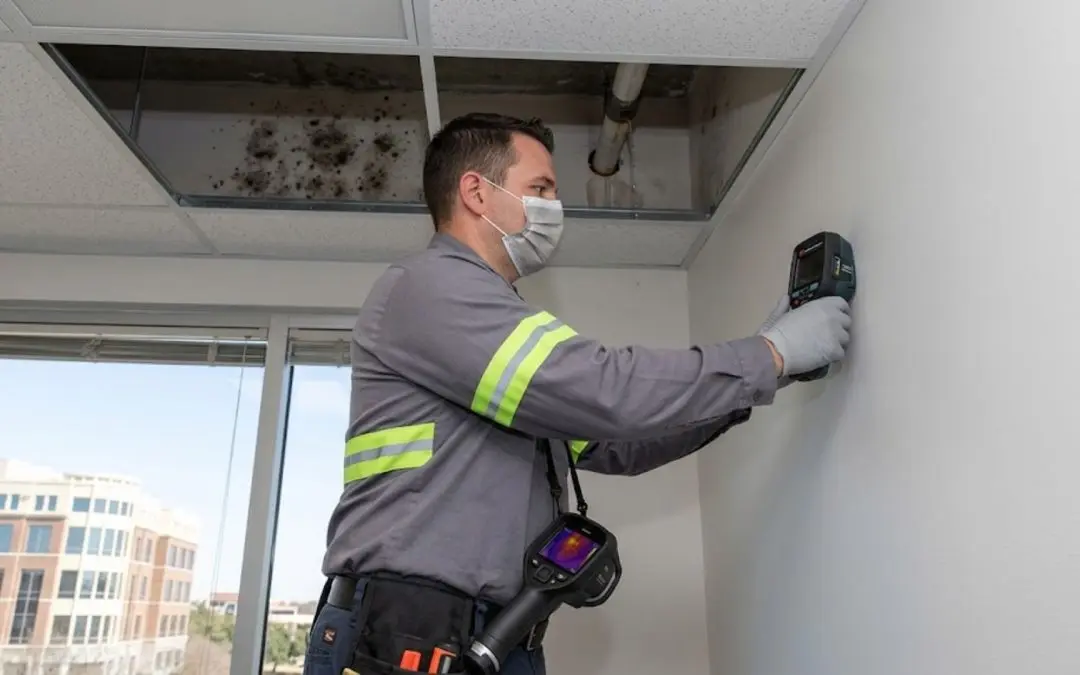 Commercial Mold Inspection Services in Addison, TX for Businesses