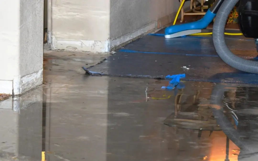 How Do Water Damage Companies in Redlands Handle Insurance Claims?