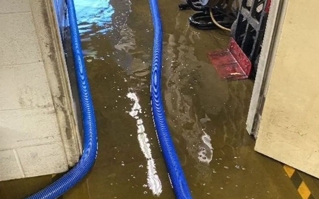 What Are the Common Causes of Water Damage in Frisco Properties?