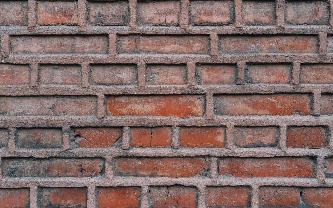 5 Signs Of a Home That Needs Mold Restoration