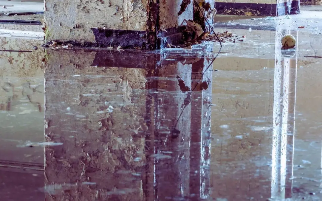 How Much Does Water Damage Restoration Cost in Redlands, CA?