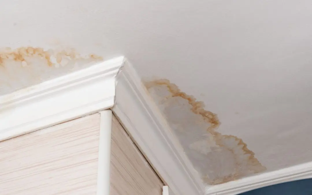 Professional Water Damage Restoration Equipment in Redlands