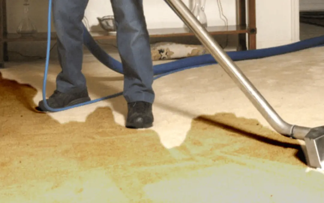 Why Professional Emergency Water Removal Is Crucial in California Homes